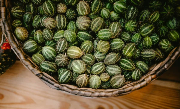 Bir sürü salatalık karpuz sepeti