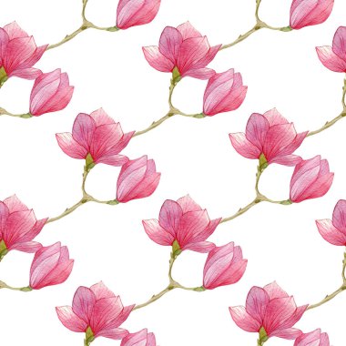 suluboya Manolya seamless modeli, beyaz arka plan üzerinde elle çizilmiş illüstrasyon.