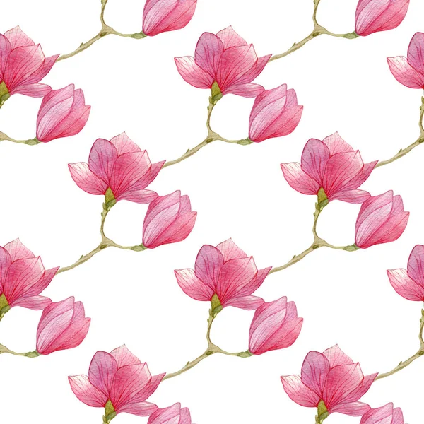 Aquarela magnolia sem costura padrão, ilustração desenhada à mão no fundo branco . — Fotografia de Stock