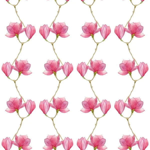 Watercolor magnolia sem costura padrão, design de mola para impressão, papel de embrulho . — Fotografia de Stock
