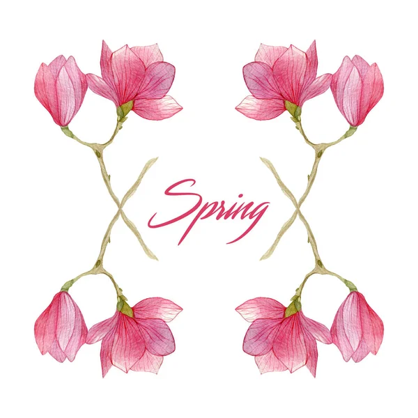 花の花春イラスト水彩でモクレンの枝を持つ。シーズン デザインの要素. — ストック写真