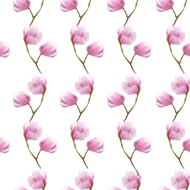 suluboya Manolya dalları Dikişsiz desen, tekstil, baskı, kağıt ambalaj için beyaz background.season tasarım üzerinde elle çizilmiş illüstrasyon.