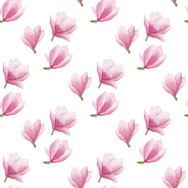 suluboya Manolya Dikişsiz desen beyaz arka plan üzerinde izole. Desen tasarım çiçek açan bahar.