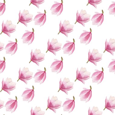 Beyaz arka plan üzerinde izole suluboya çiçek açan Manolya seamless modeli.