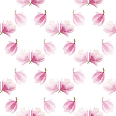 Bahar çiçek açan Manolya desen. suluboya sorunsuz background.seasonal tasarım baskı, kağıt ambalaj.