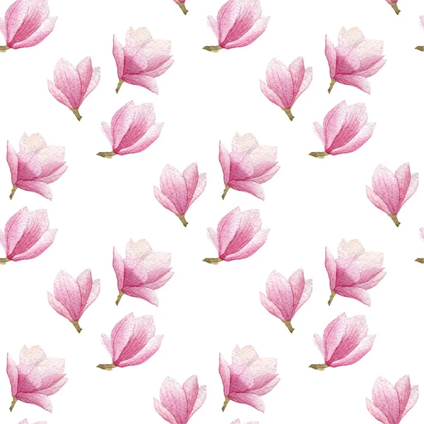 수채화 목련 원활한 패턴 흰색 배경에 고립입니다. 봄 꽃 패턴 디자인. — 스톡 사진