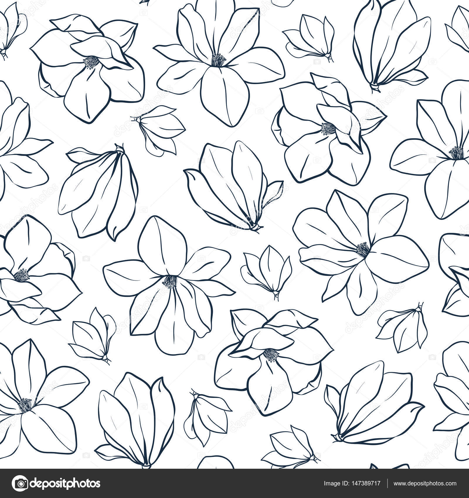 Graphic Magnolia Flowers And Buds Vector Spring Seamless Pattern Coloring Book Page Design For