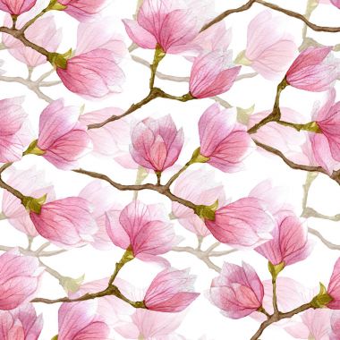 Suluboya Manolya çiçek seamless modeli. Sezon el illüstrasyon Tekstil, davetiye, tebrik kartları, posterler ve daha fazlası için çekilmiş.
