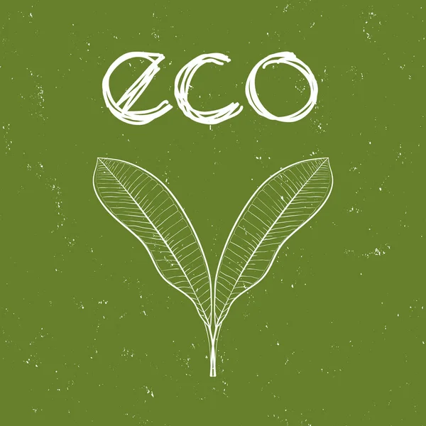 生态徽章与叶有机、 自然、 生物和生态友好的产品对破旧的绿色背景. — 图库矢量图片