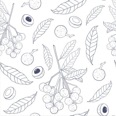 Longan meyveli, modaya uygun, pürüzsüz bir model. Dal, yaprak ve yarım kasa Longan beyaz arka planda izole edilmiş..