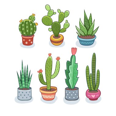 Kaktüs ve succulents tencere. Vektör çizim üzerinde beyaz izole