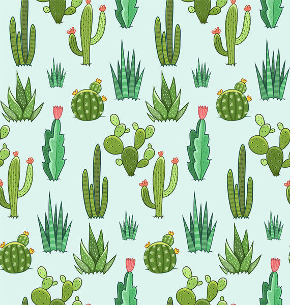 Суккуленты и кактусы