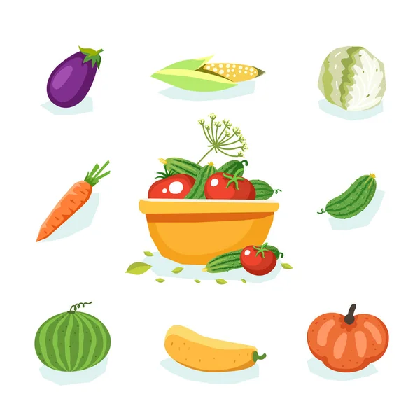 Свежие овощи: огурец, морковь, капуста, кукуруза, тыква, зук — стоковый вектор