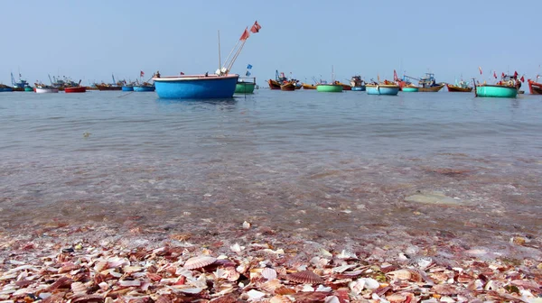 Barcas redondas tradicionales Thng chai en la playa de Mui Ne, Vietnam Imagen De Stock