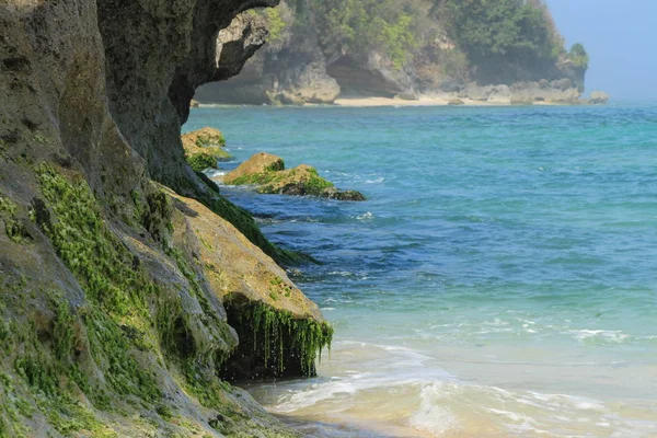 Cliff beach yosun ile 