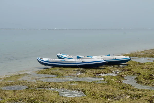 Okyanus plaj iki Kano 