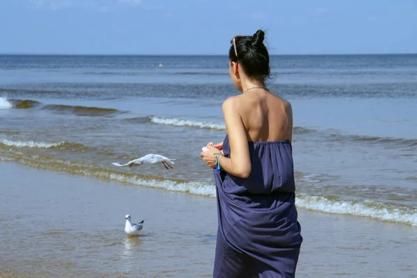 Baltık Denizi, sahil boyunca yürüyüş ve beyaz gu besleme kadın