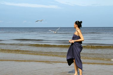  Baltık Denizi, beyaz martı besleme kadın 