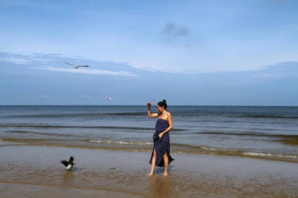 Mar Báltico, mujer caminando por la playa y alimentando cr negro Imagen De Stock