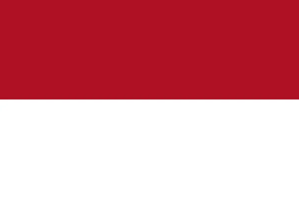 Bandera de Indonesia. Bandera nacional de Indonesia, vector — Vector de stock