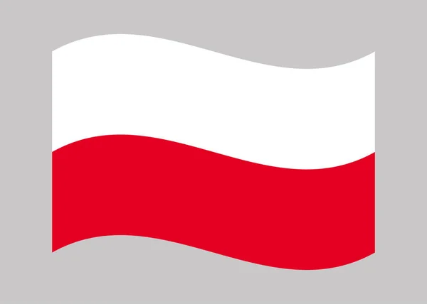 Bandeira Polónia Bandeira Nacional Polónia Ilustração Vetorial —  Vetores de Stock