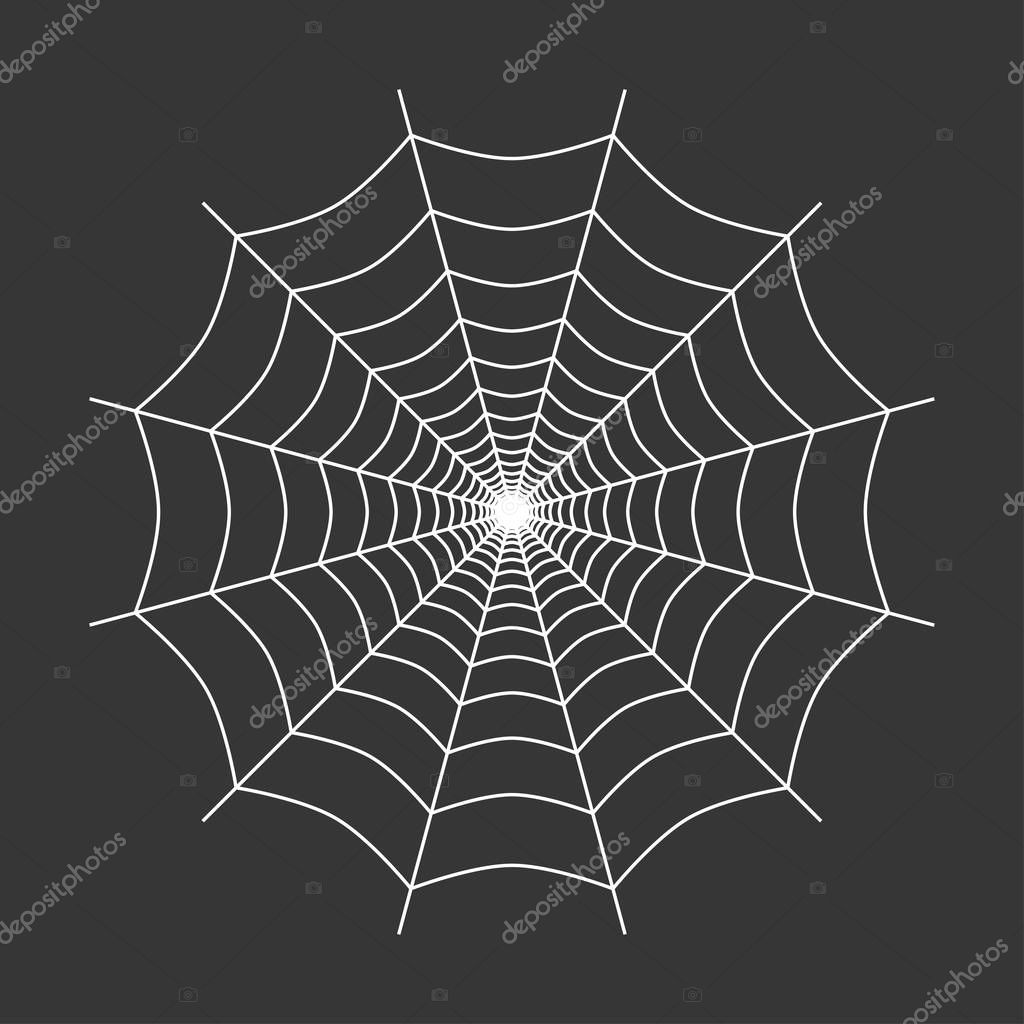 Spider web vector illustration