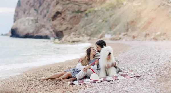 ビーチに格子縞の上に座って犬との愛の若いカップル — ストック写真