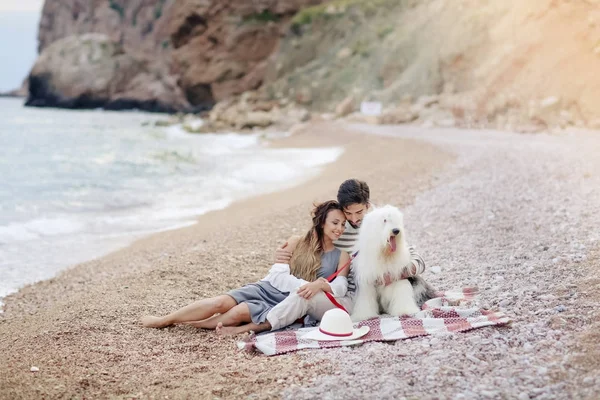 ビーチに格子縞の上に座って犬との愛の若いカップル — ストック写真