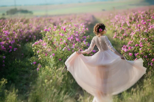 自然の背景にポーズの頭の上の花の花輪ロング ドレスの若い美しい女性モデル — ストック写真
