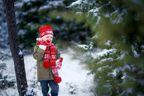 Lindo Niño Divirtiéndose Jugando Con Nieve Cerca Abeto — Foto de Stock
