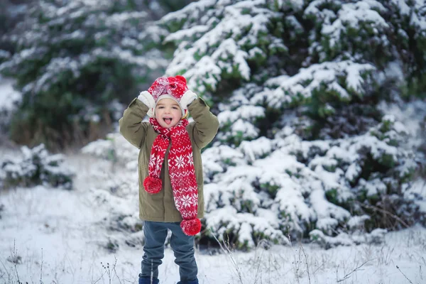 Cute Little Boy Having Fun Playing Snow Fir Tree — Stock Photo, Image