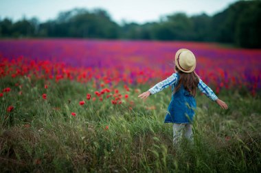 Eğleniyor şapkalı küçük kız, yeşil alanı ile kırmızı poppies, yürüyüş arkadan görünüm