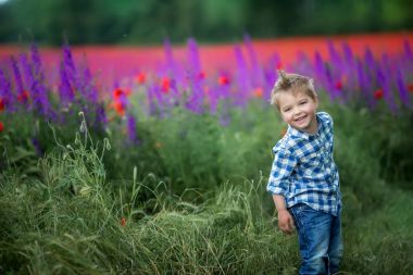 küçük çocuk eğleniyor, yeşil alanı kırmızı haşhaş ile yürüyüş 