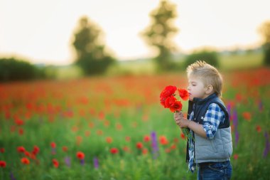 yeşil alanda yürüyüş ve haşhaş kokulu küçük çocuk 