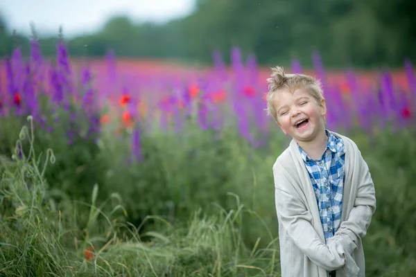 Malý Kluk Baví Procházky Zeleném Poli Červenými Máky — Stock fotografie