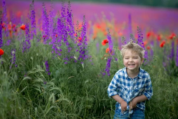 Мальчик Веселится Гуляя Зеленому Полю Красными Маками — стоковое фото