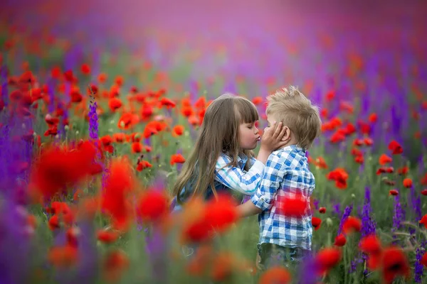 Dos Lindos Niños Pequeños Besándose Posando Campo Con Flores Color — Foto de Stock