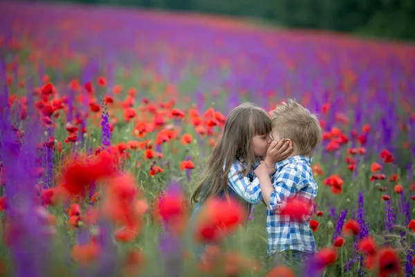 Dois Meninos Bonitos Beijando Posando Campo Com Flores Cor — Fotografia de Stock