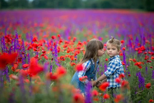 两个可爱的小孩子在田野上用彩色花朵接吻 — 图库照片