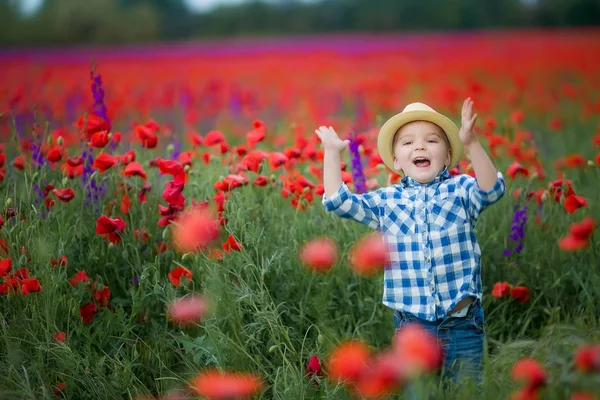 Little Boy Hat Having Fun Walking Green Field Red Poppies — Stock Photo, Image