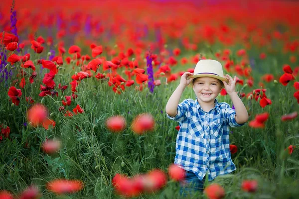 Malý Chlapec Klobouku Baví Procházky Zeleném Poli Červenými Máky — Stock fotografie