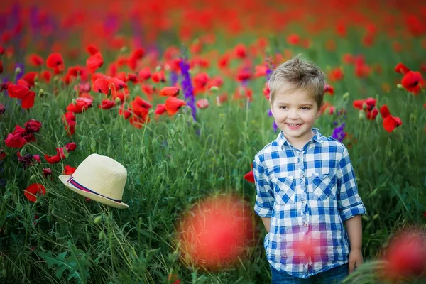 Malý Chlapec Zeleném Poli Květinami — Stock fotografie