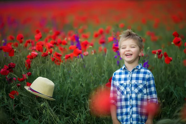 Malý Chlapec Zeleném Poli Květinami — Stock fotografie