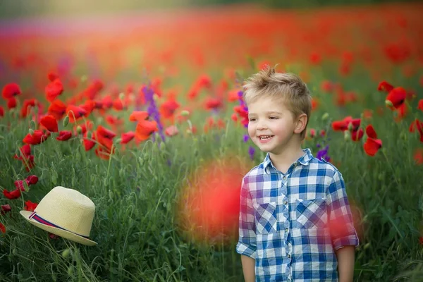 Little Boy Walking Green Field Flowers — Stock Photo, Image