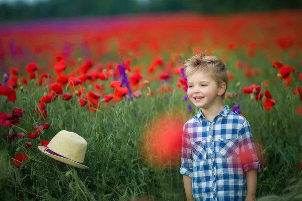 Niño Pequeño Caminando Campo Verde Con Flores —  Fotos de Stock