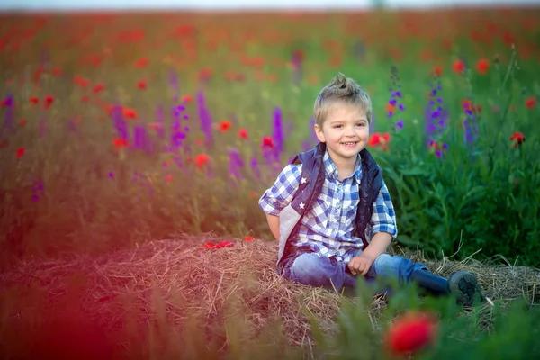 Chlapeček Sedí Zelenou Louku Květinami — Stock fotografie