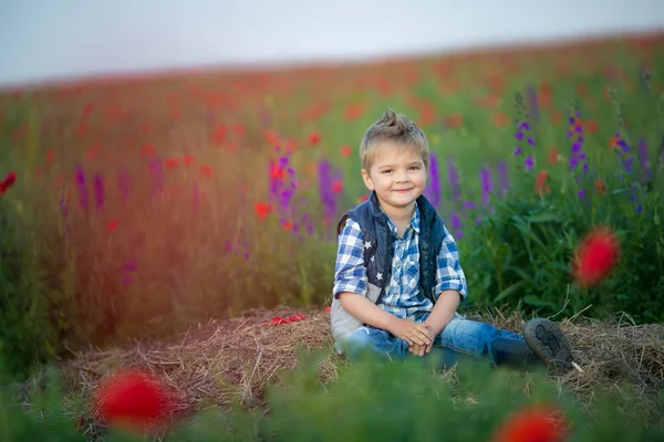 Chlapeček Sedí Zelenou Louku Květinami — Stock fotografie