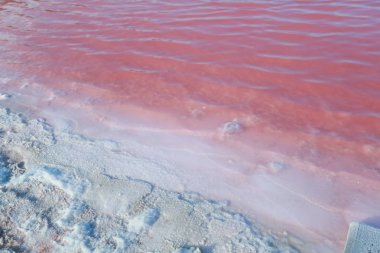 Pembe bir gölün tuzlu ve tuzlu suyu, mikro alg Dunaliella salina tarafından renklendirilmiştir, antioksidan özellikleriyle ünlüdür, beta-karoten ile suyu zenginleştirir, ilaç, cilt bakımı ve kaplıcalarda kullanılır.