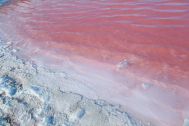 Pembe bir gölün tuzlu ve tuzlu suyu, mikro alg Dunaliella salina tarafından renklendirilmiştir, antioksidan özellikleriyle ünlüdür, beta-karoten ile suyu zenginleştirir, ilaç, cilt bakımı ve kaplıcalarda kullanılır.
