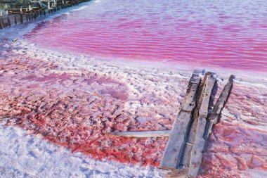 Pembe bir gölün tuzlu ve tuzlu suyu, mikro alg Dunaliella salina tarafından renklendirilmiştir, antioksidan özellikleriyle ünlüdür, beta-karoten ile suyu zenginleştirir, ilaç, cilt bakımı ve kaplıcalarda kullanılır.
